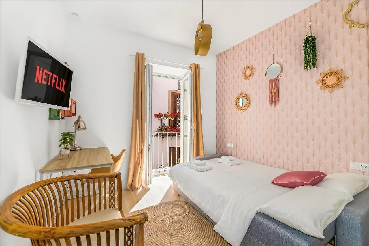 Urban Rose , Superb Private House In Historical Center, With Sunny Rooftop Malaga