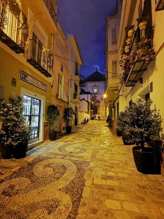 Urban Rose , Superb Private House In Historical Center, With Sunny Rooftop Villa Málaga