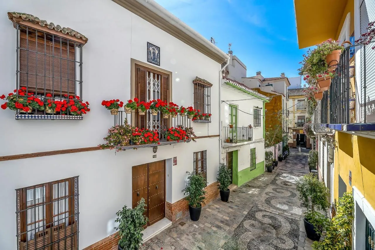 Urban Rose , Superb Private House In Historical Center, With Sunny Rooftop Malaga Spain